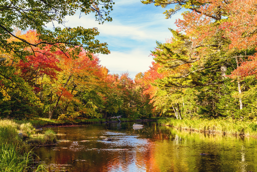River surrounded by autumn coloured trees in Kejimkujik National Park, Nova Scotia, Canada.