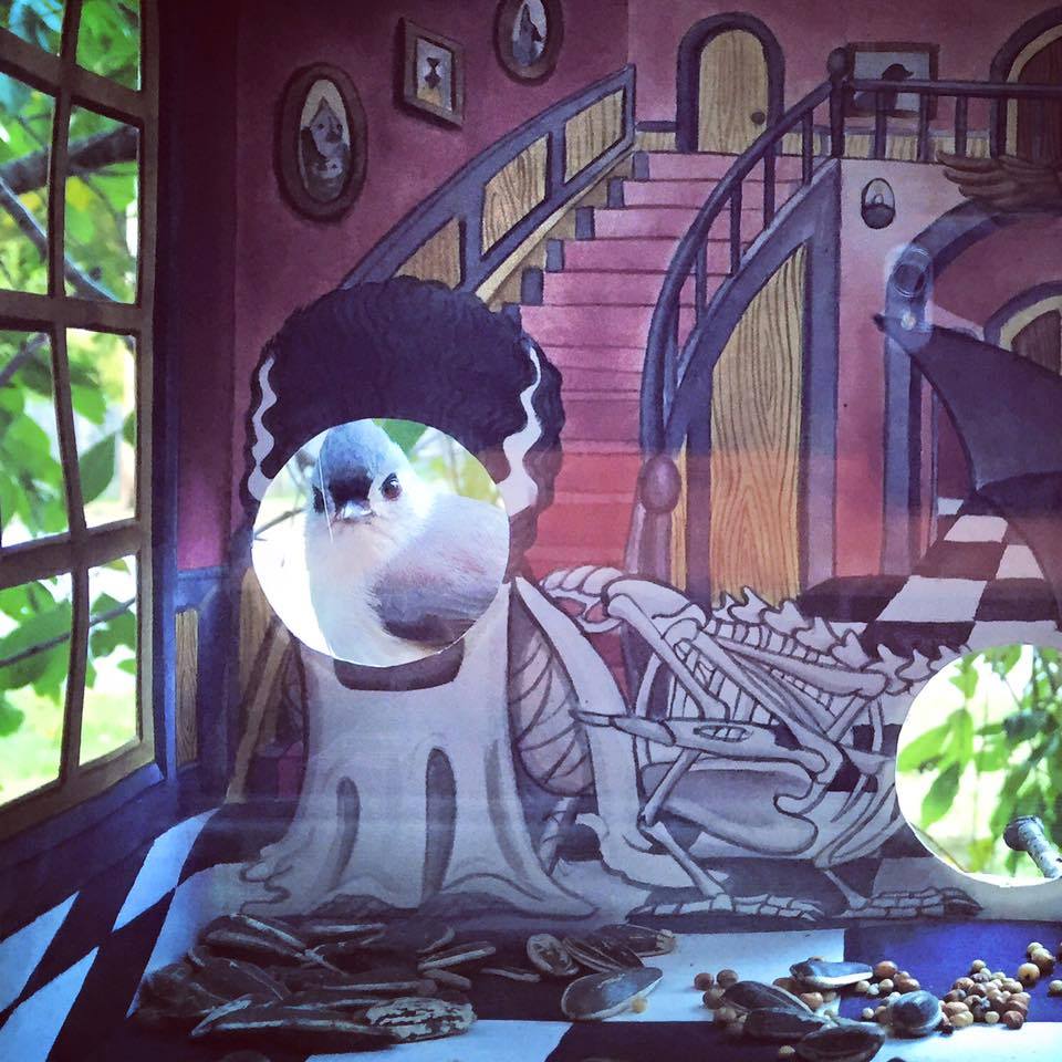 Bird in entrance of home with Bride of Frankenstein hair