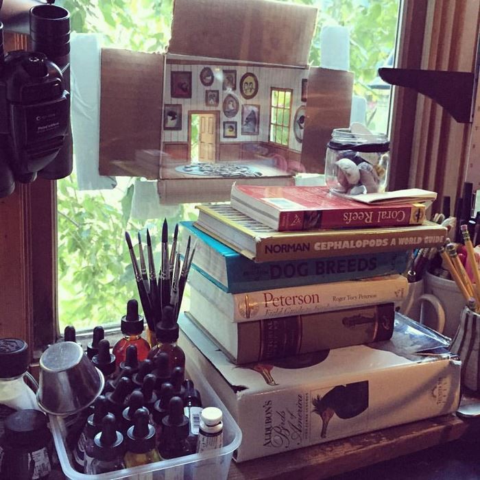 Bird home sitting in window