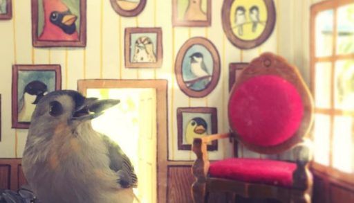 Bird with seed in mouth