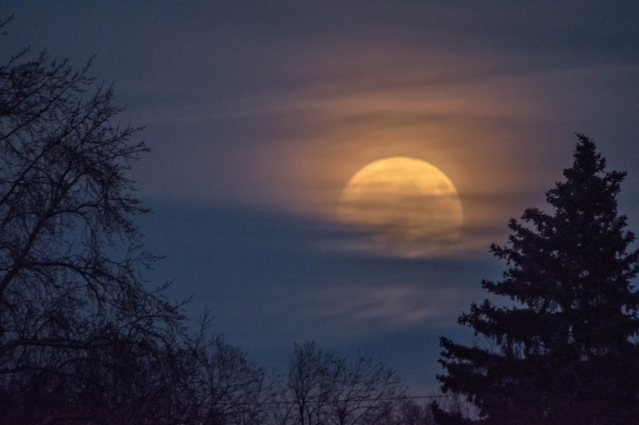 Supermoon over forest in clouds