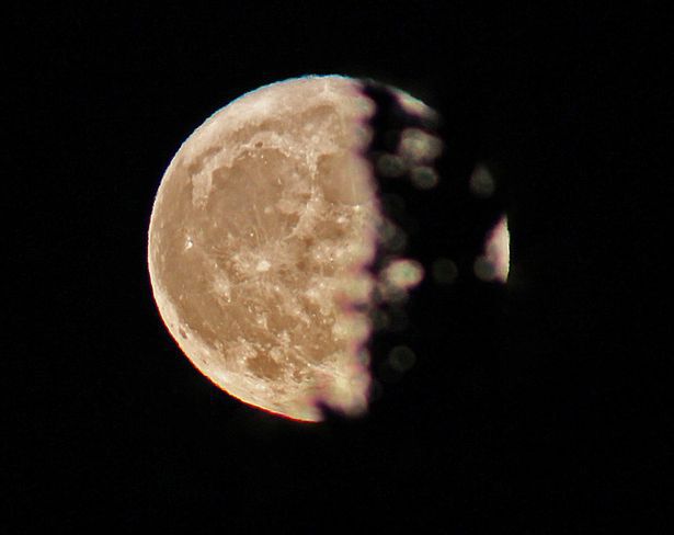 Moon blocked partially by tree branches