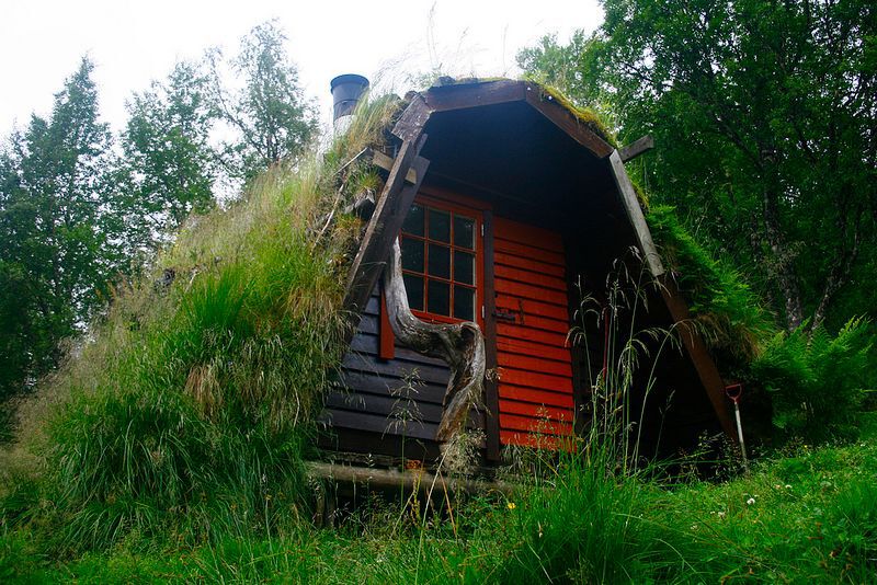 A tiny cabin with grass on the roof
