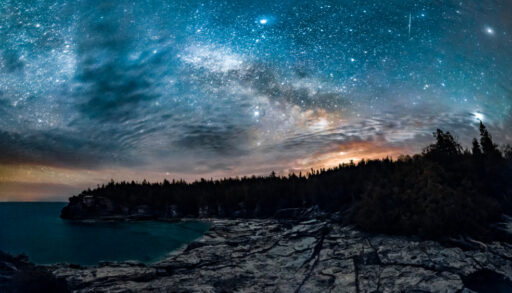 Starry night sky with silhouetted trees in Bruce Peninsula National Park, Ontario, Canada.