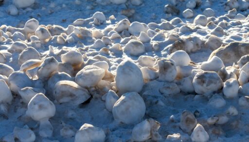 Giant and irregular ice balls on the shores of Lake Michigan.