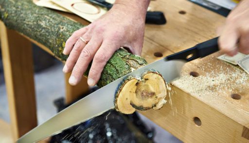 Saw sawing through a branch.