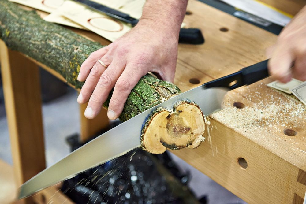 Saw sawing through a branch.