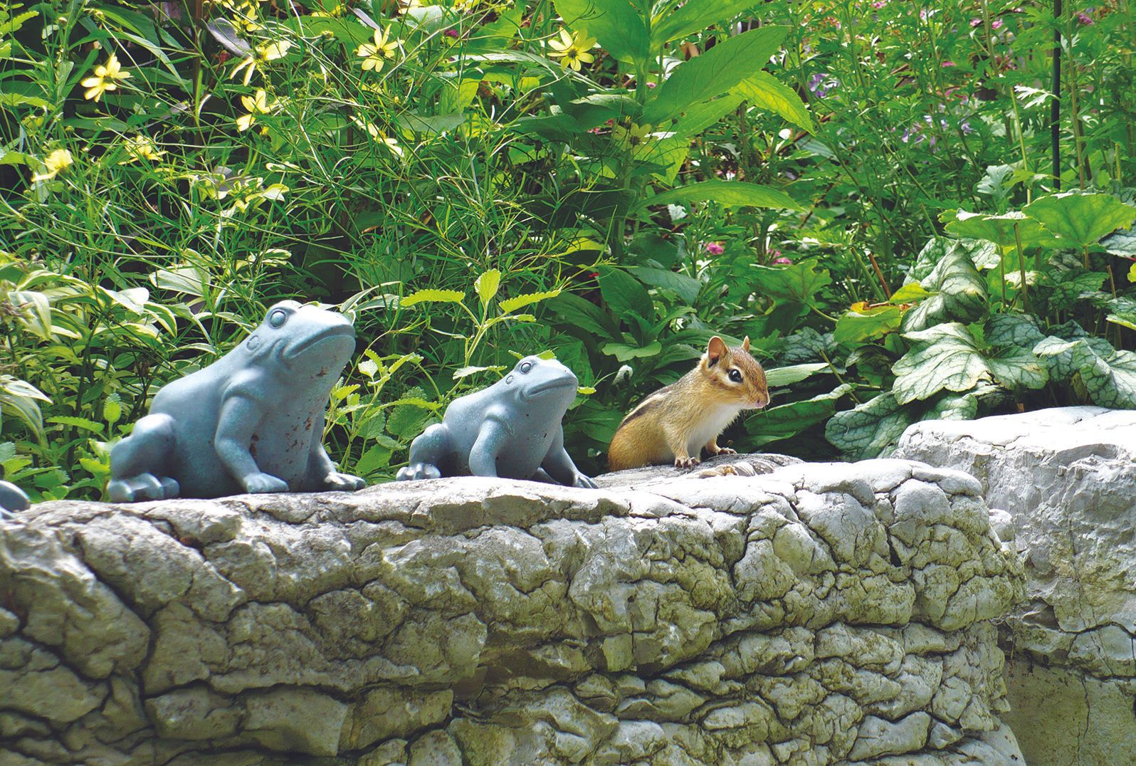 Julian Lake, Ontario