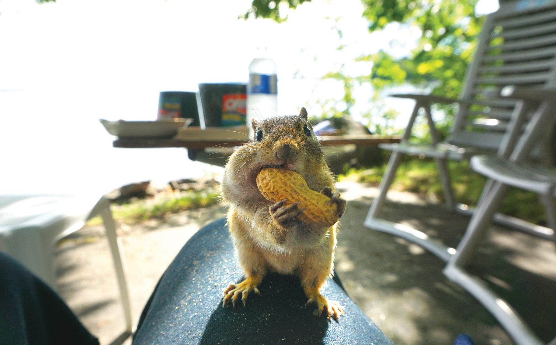 Lake Nipissing, Ontario