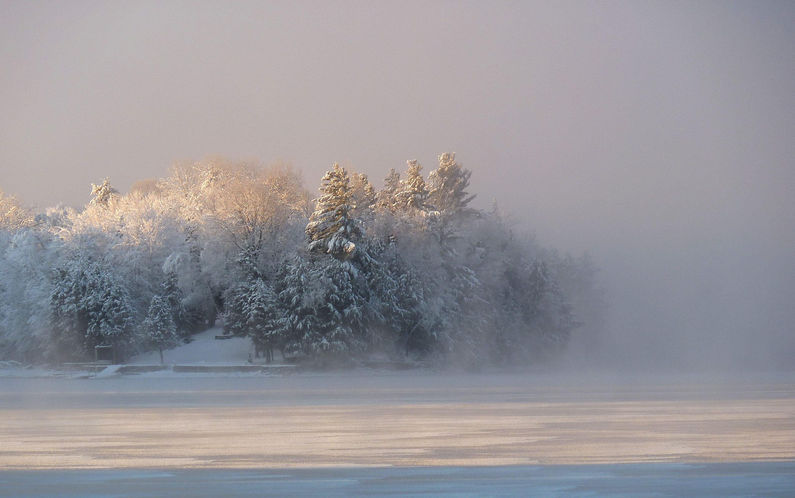 Winter morning mist
