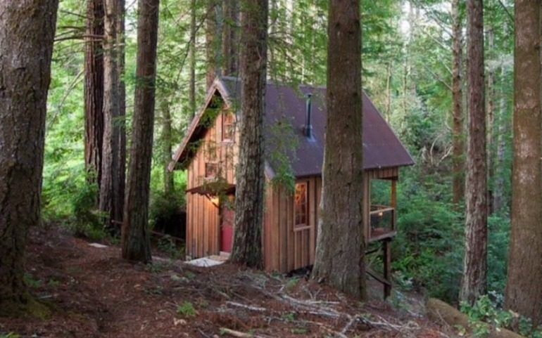 Owl Tree Cabin