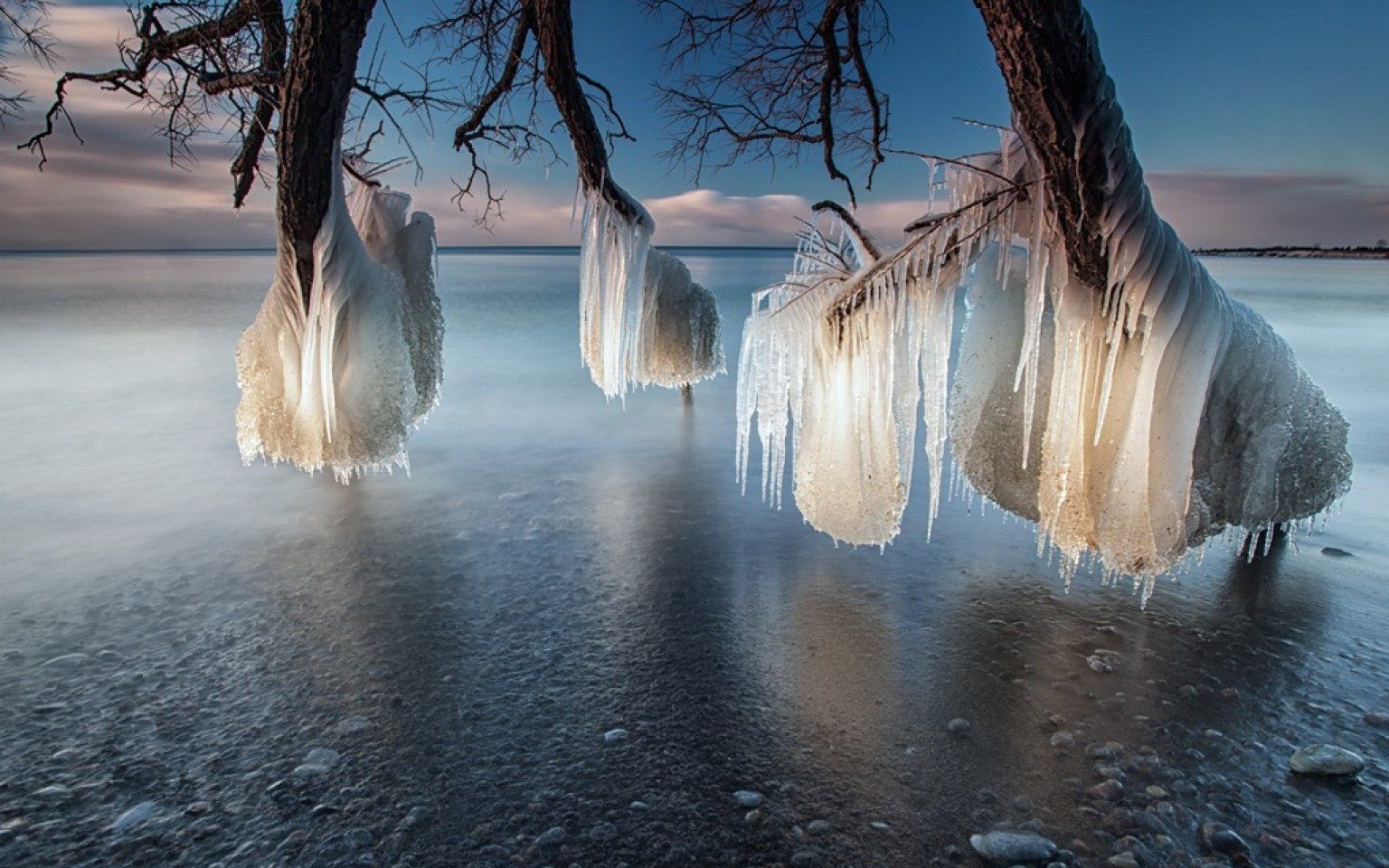 Frozen tree branches over Lake Ontario