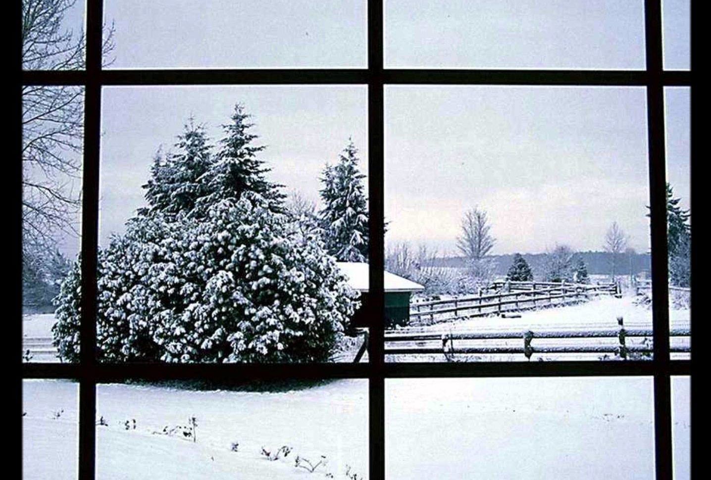 View of snowy field through a window