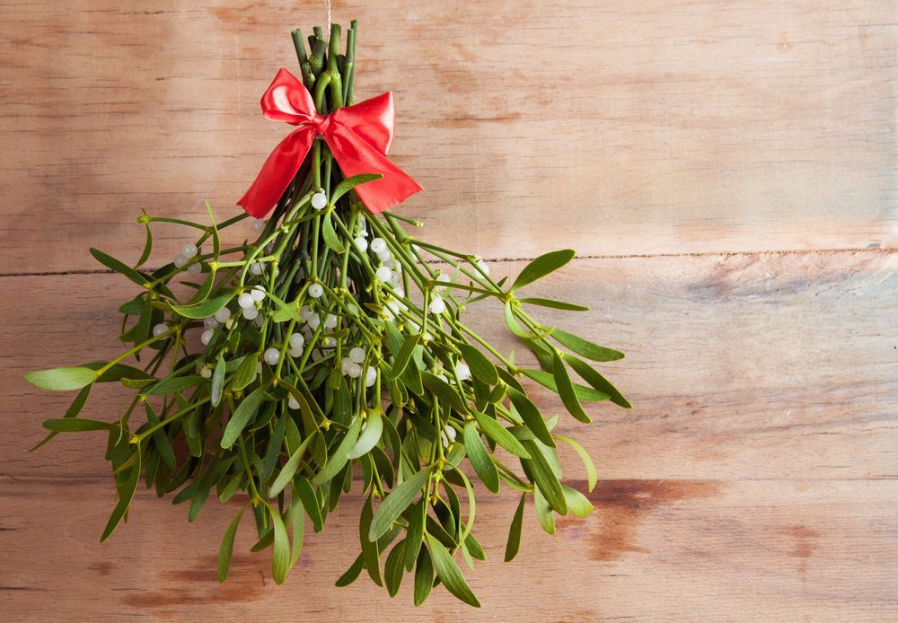 Hanging green mistletoe with a read bow at the base against a wooden background.