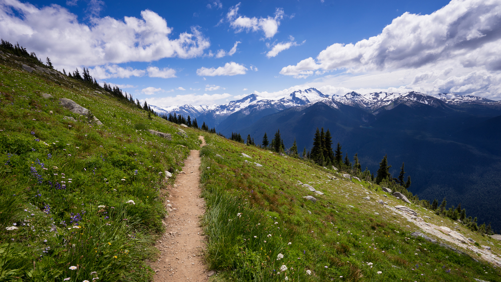 Hiking trail overlooking the Rocky Mountains on Blackcomb Mountain, Whistler, British Columbia, Canada.