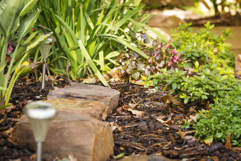 Outdoor garden landscape with rocks and solar lights.