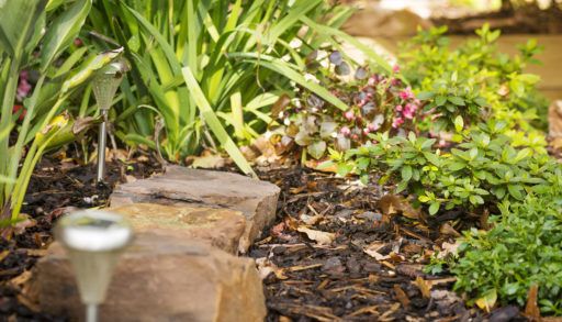 Outdoor garden landscape with rocks and solar lights.