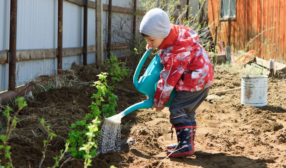 Kid in a red rain jacket watering plants with a blue watering can.