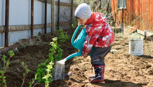 Kid in a red rain jacket watering plants with a blue watering can.