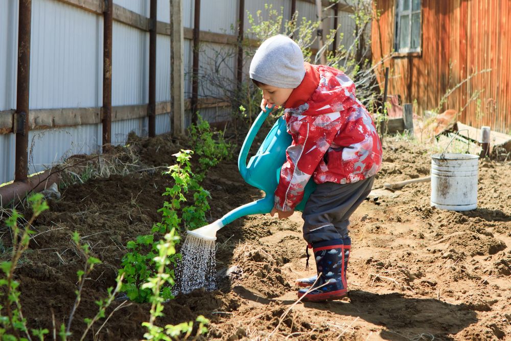 Kid in a red rain jacket watering plants with a blue watering can.