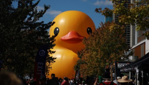 World's largest rubber duck on display in Ontario, Canada.