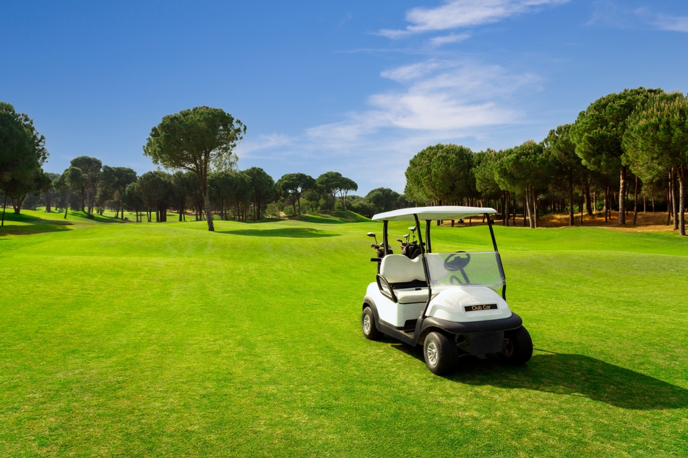 White golf cart sitting on a golf green with trees all around.