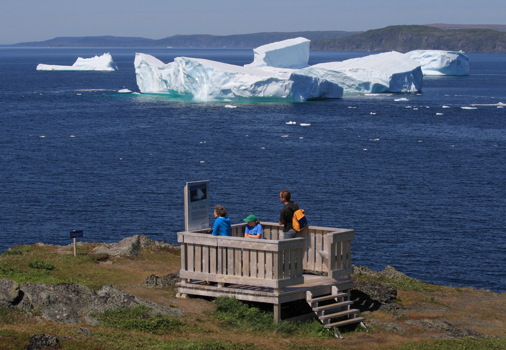 Large iceberg off the coast of Newfoundland with a view spot on land.