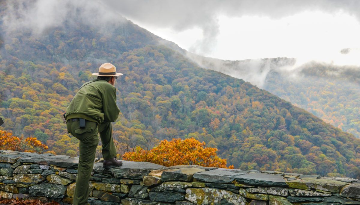 park ranger looking out onto cottage country