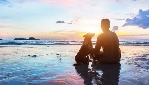 a dog and it's owner at the beach during sunset