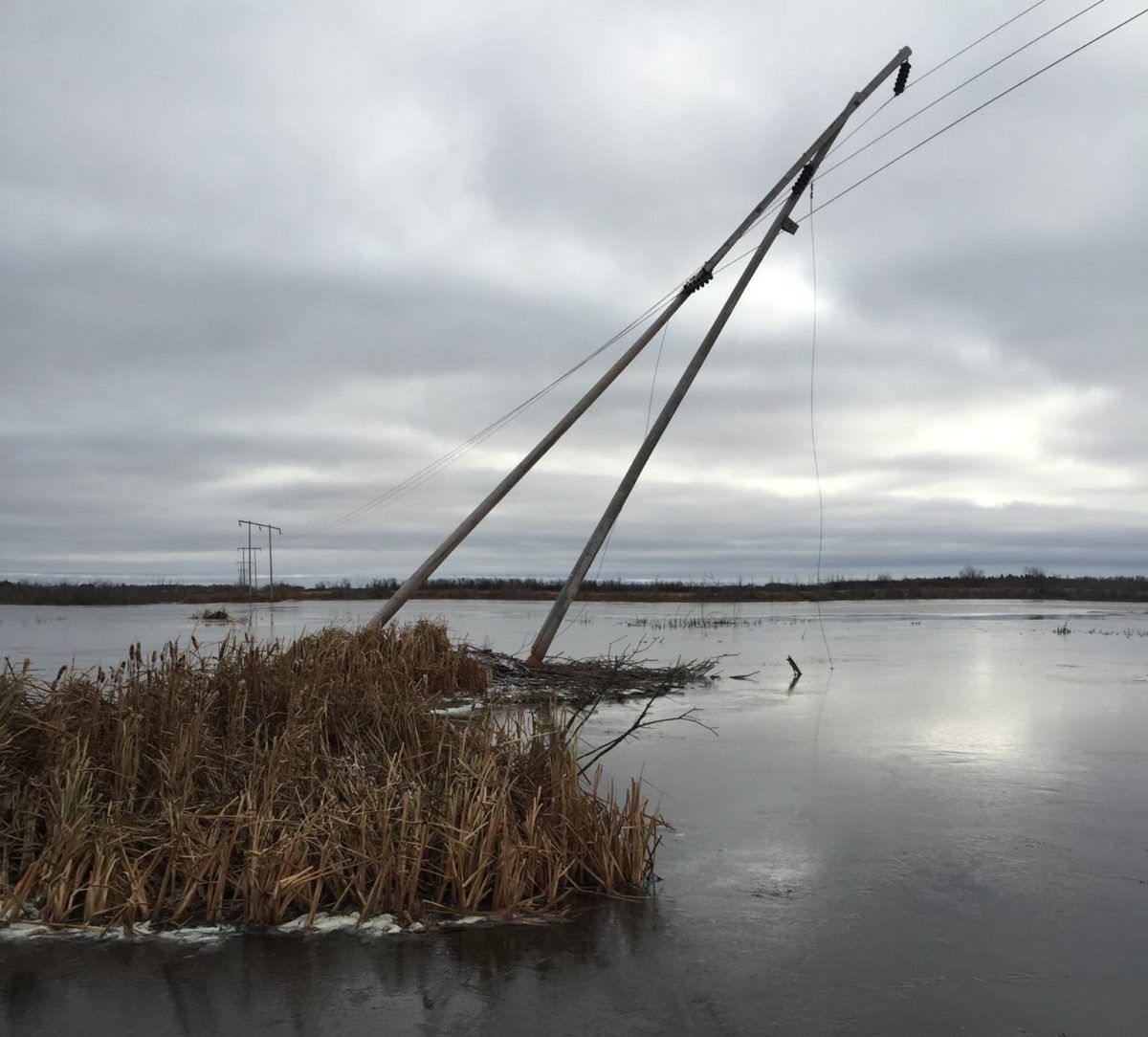 Saskatchewan power pole
