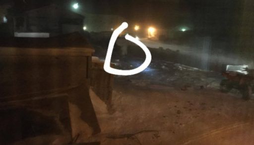 Polar bear in Resolute, Nunavut