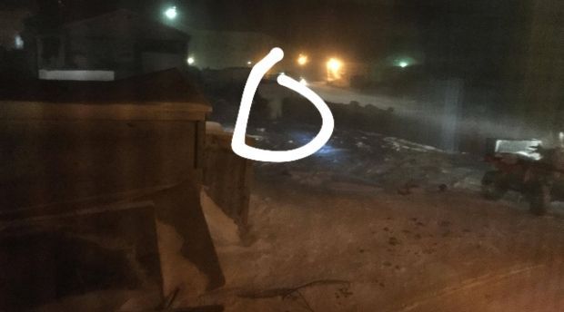 Polar bear in Resolute, Nunavut