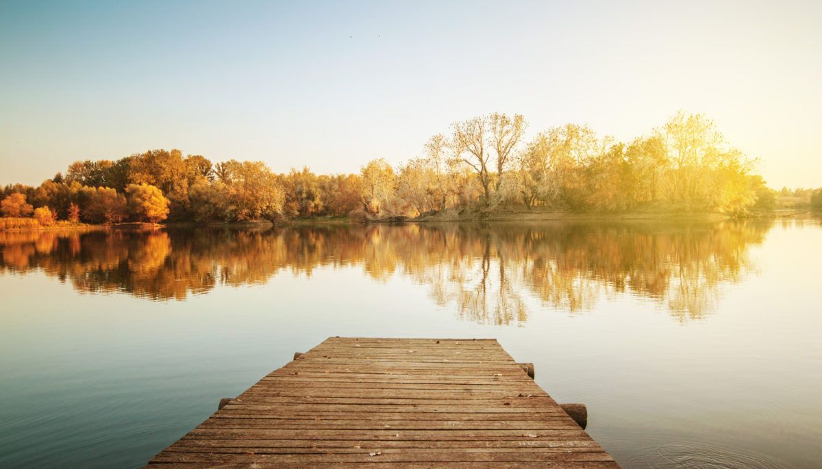 The lake on an Autumn day