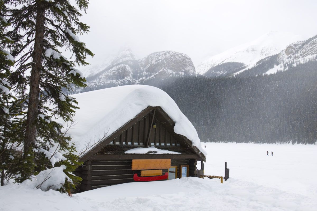 a-cabin-in-the-woods-in-Alberta