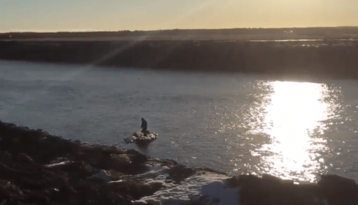 Man standing on ice floe as it floats downriver