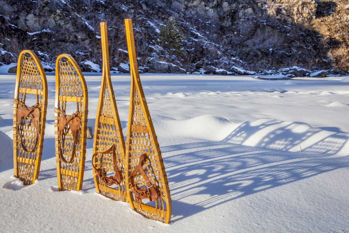 snowshoes-in-the-snow