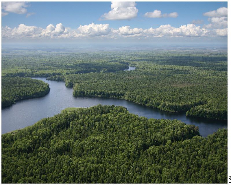 Alberta's boreal forest seen from above