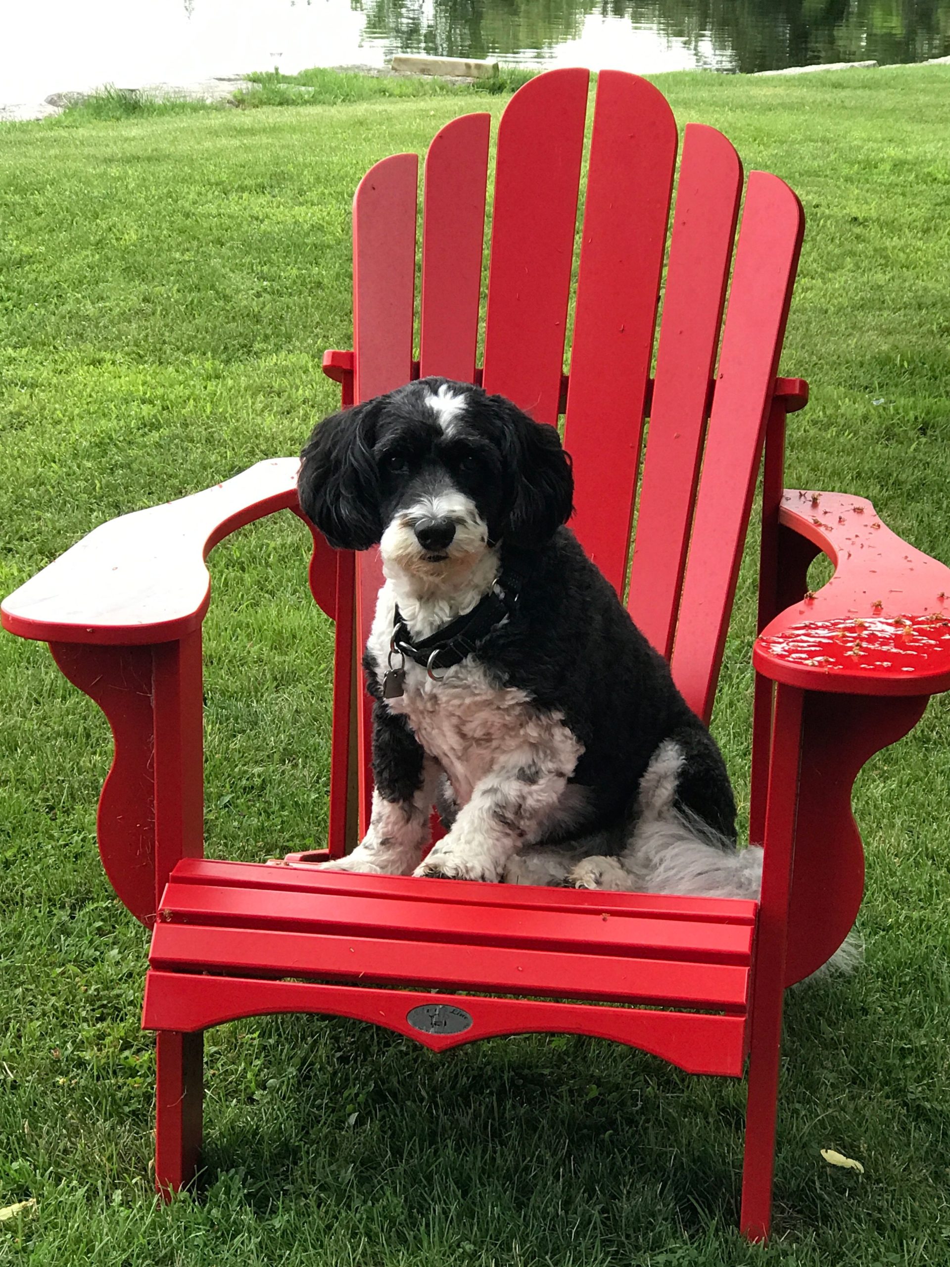 Muskoka chair