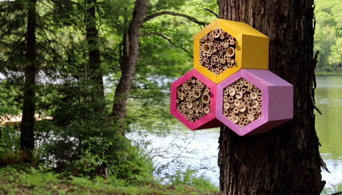 bee box