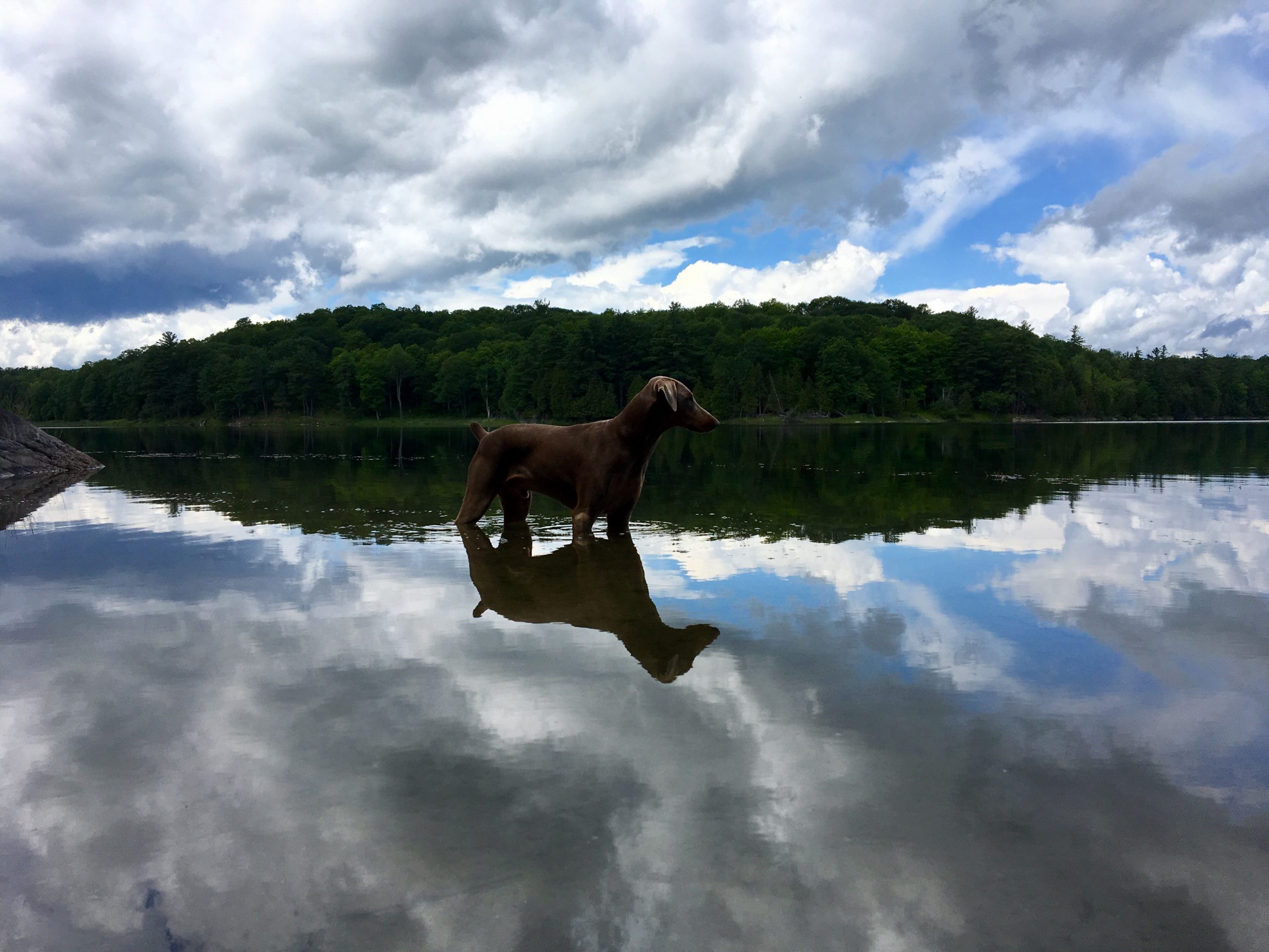 Davern lake reflections