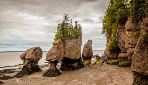 The Hopewell Rocks in the Bay of Fundy, New Brunswick.