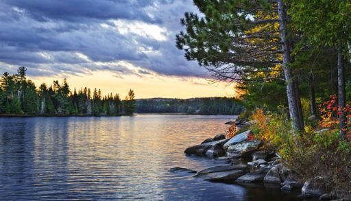 Natural-shoreline-Sunset-and-pines-at-Lake-of-Two-Rivers-Algonquin-Park-Ontario