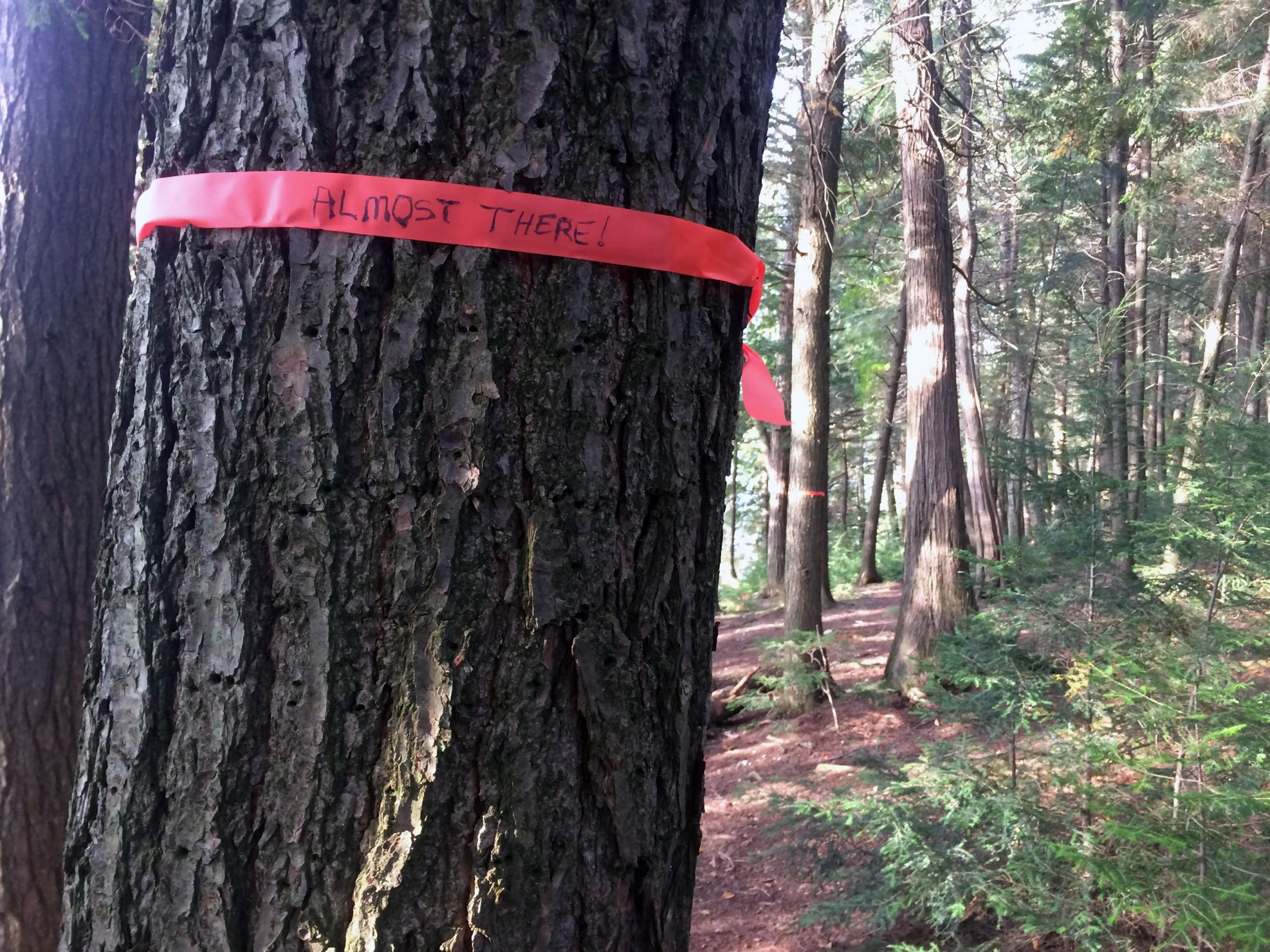 red tape wrapped around a tree to help guide the campers to their tarp and belongings.