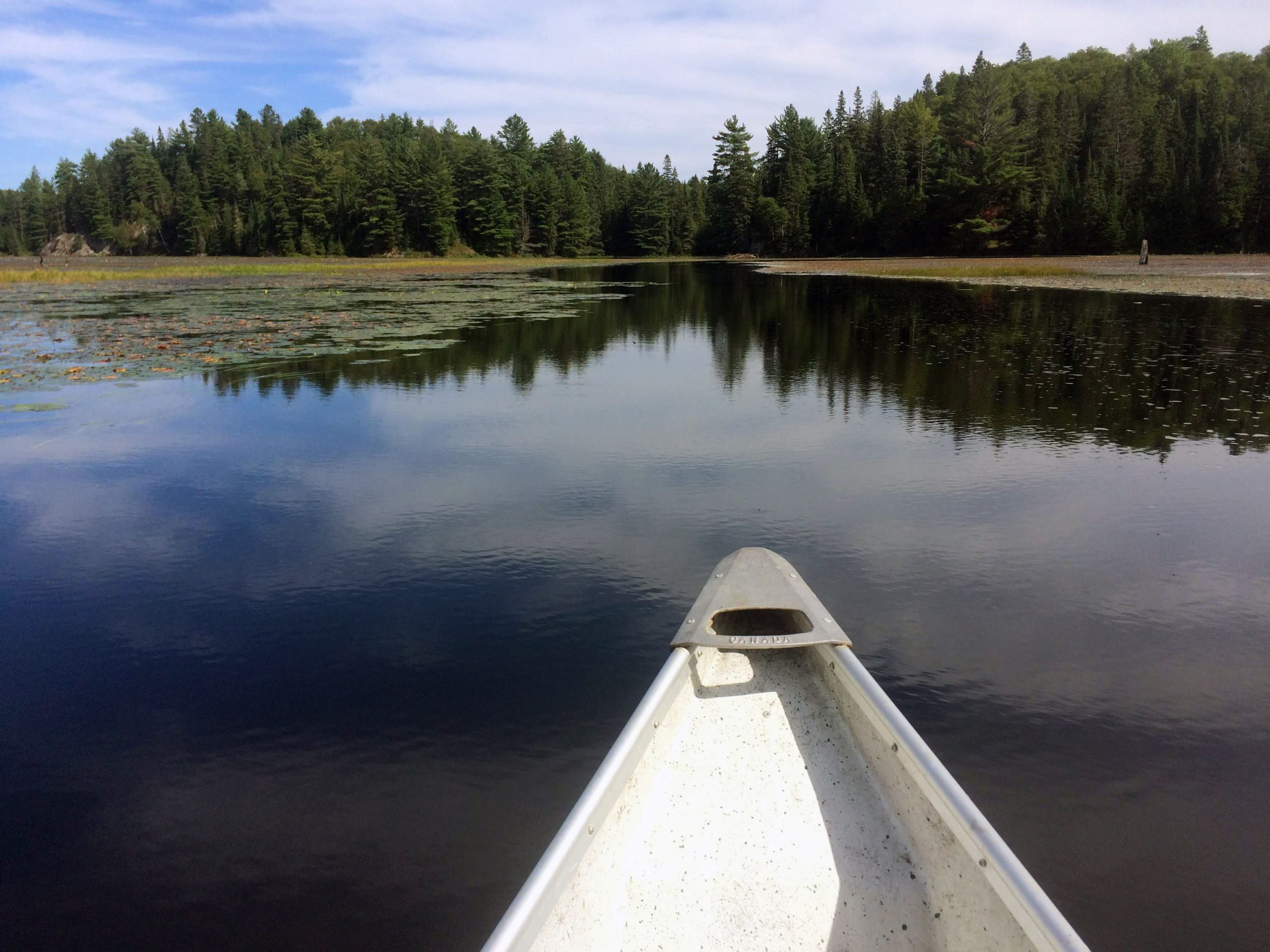the tip of a canoe on a lake.