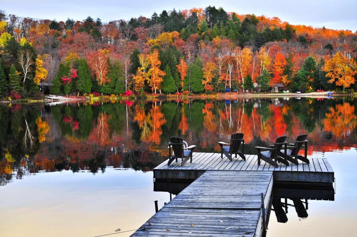 a dock with muskoka chairs with colorful fall leaves in the background reflected on the lake