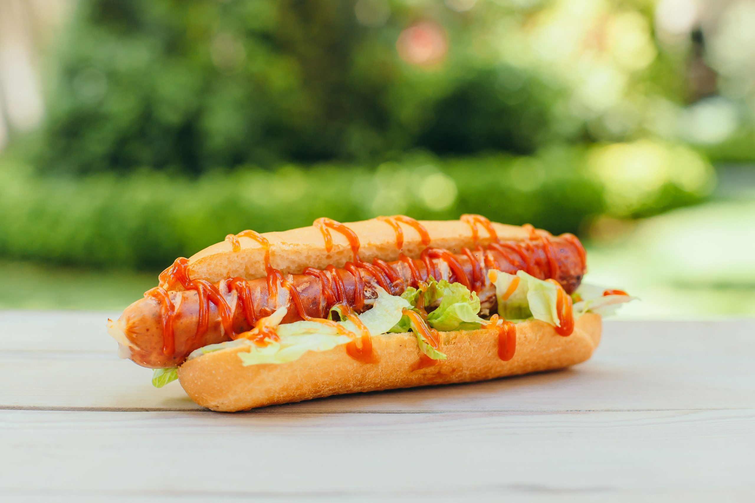 Hot Dog with lettuce, mustard, cheese and tomato