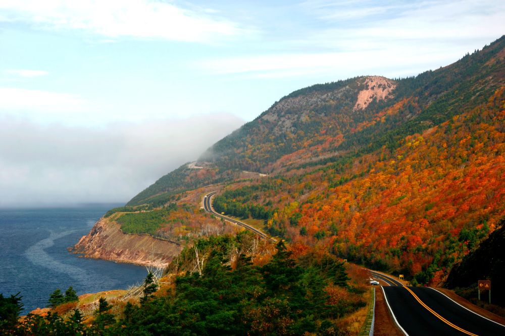 A view of autumn colours along a highway