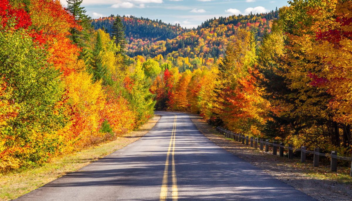 Scenic Drive through Autumn foliage