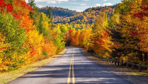 Scenic Drive through Autumn foliage