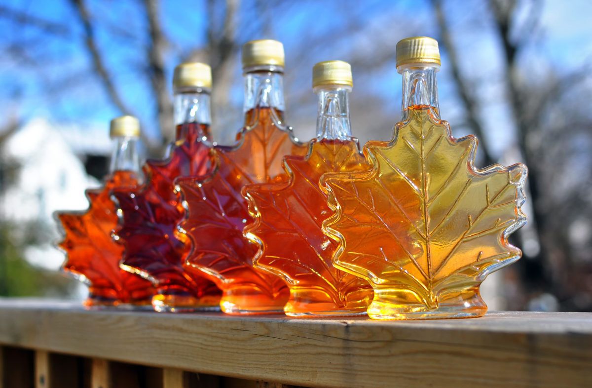 Different colour variatons of maple syrup made by a backyard hobbyist in Springhill, Nova Scotia.